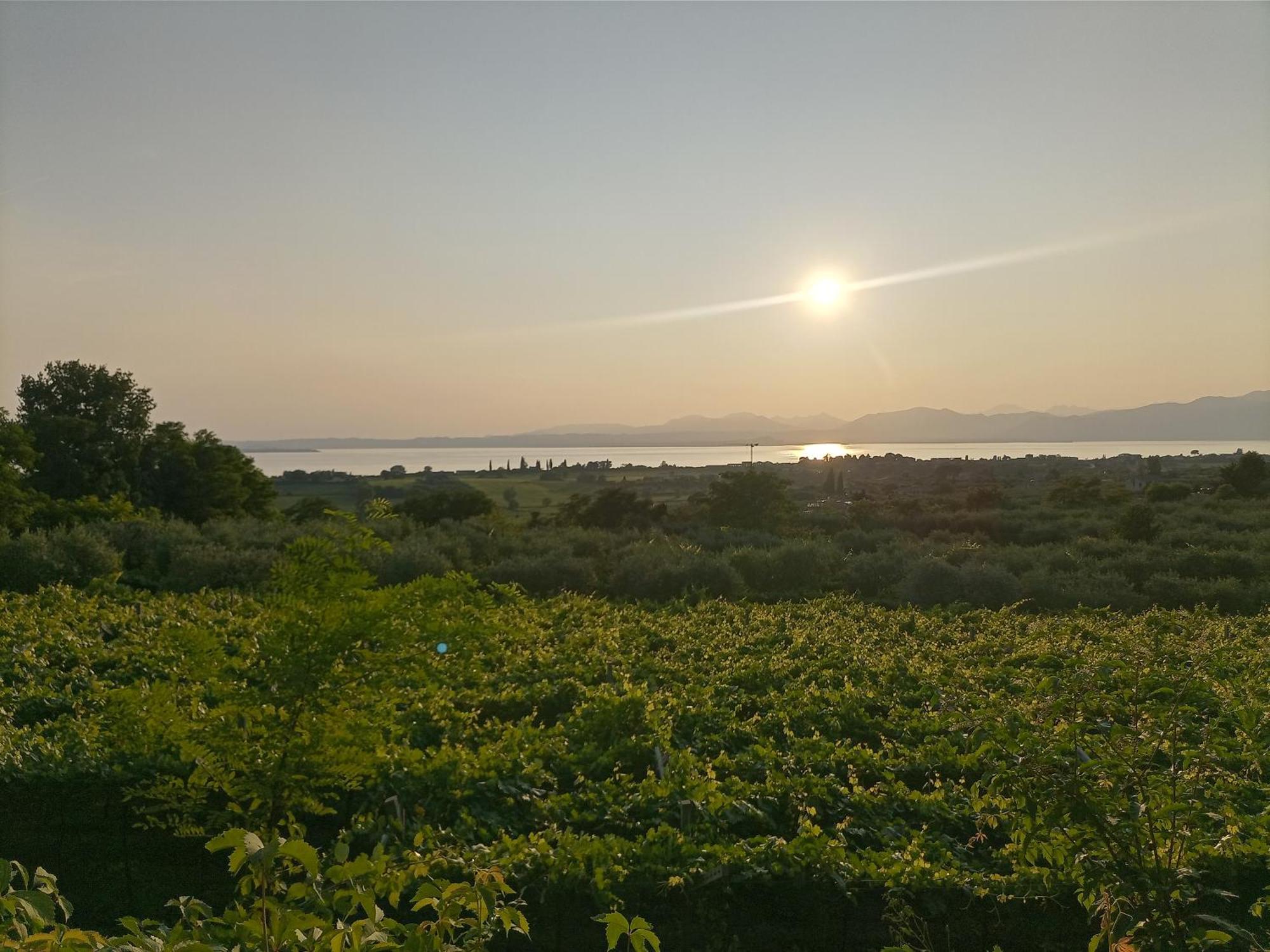 Bardolino Suite Εξωτερικό φωτογραφία